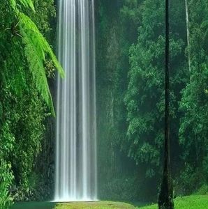 Meet your Posher, Vicente